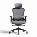 Sedia da ufficio ergonomica grigia con supporto lombare regolabile 60 x 60 x 120cm